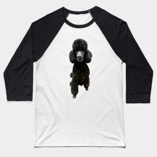 Poodle Gorgeous Style! Baseball T-Shirt